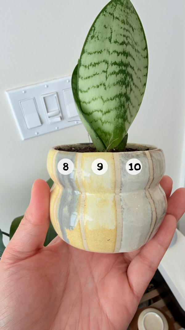 White Clay glaze example 3