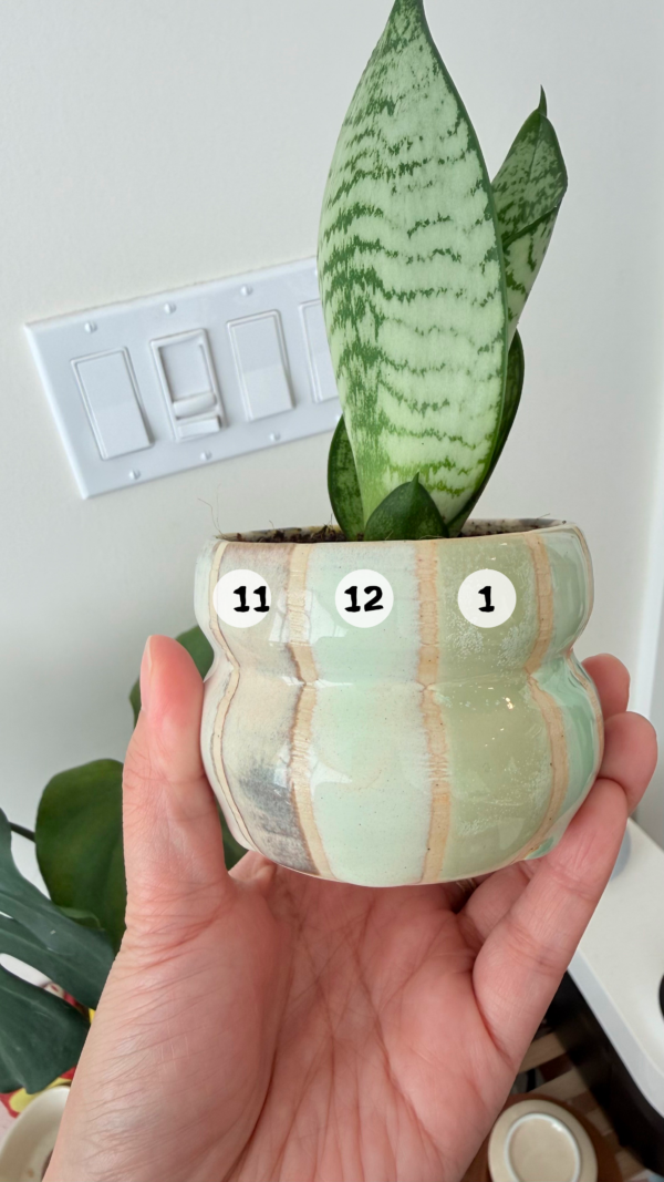 White Clay glaze example 4