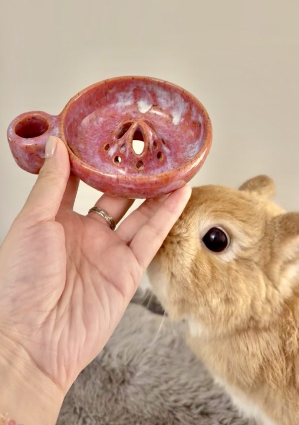 Berry Bowl