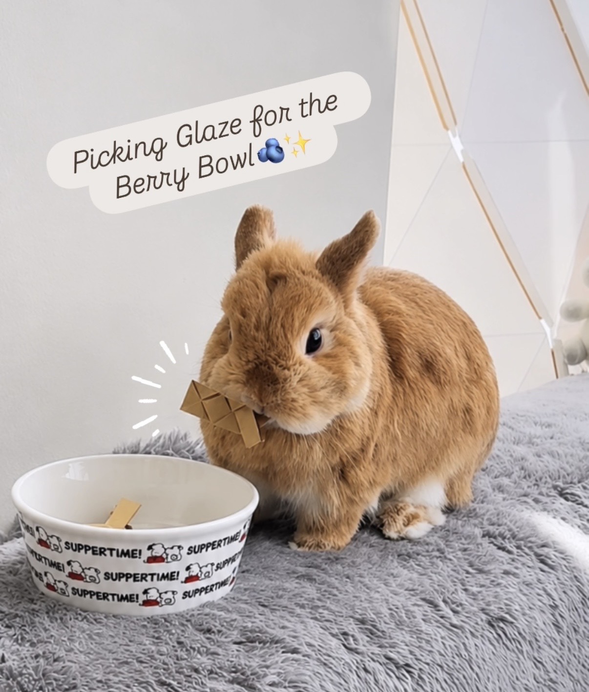 Puppy the bunny choosing a glaze sample beside a bowl