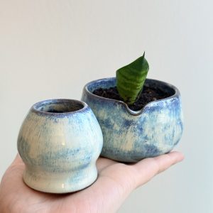 Chawan Plant + Whisk Holder