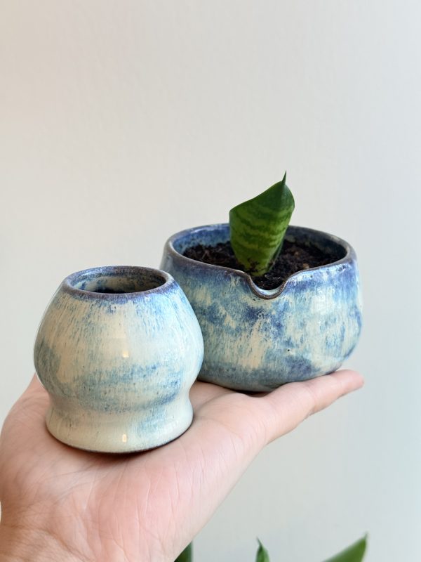 Chawan Plant + Whisk Holder